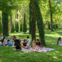 В парке :: **** vedin В парке :: **** vedin