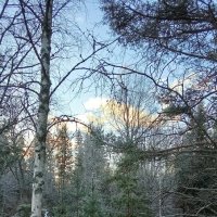 Декабрь :: Ольга Попова (popova/j2011) Декабрь :: Ольга Попова (popova/j2011)