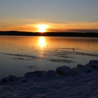 Пинозеро :: Ольга Пинозеро :: Ольга