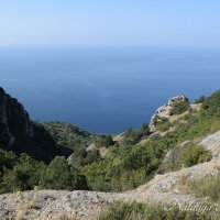 Природа Крыма :: Amazing Cosmea Природа Крыма :: Amazing Cosmea