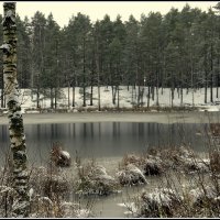 Зима на час... :: Aleksandr Gal Зима на час... :: Aleksandr Gal