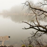...Туманное утро...Пруд в Мокве. :: Александр Герасенков