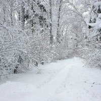 В парке :: Галина Нестратова