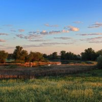 Утро. :: Александр. AVG100 --- Утро. :: Александр. AVG100 ---