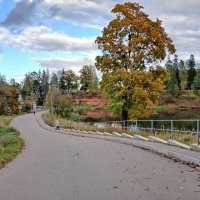 Самая лучшая дорога - машинам въезд закрыт! :: Лия ☼
