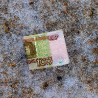 Замороженные активы. :: Анатолий. Chesnavik.