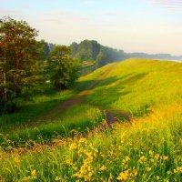 На дальней станции сойду- Трава- по пояс :: Юрий. Шмаков