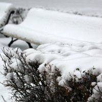 оттенки зимушки :: Олег Лукьянов