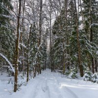 Зимний пейзаж :: Владимир Лазарев