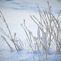 Зимние фантазии :: Татьяна Лютаева Зимние фантазии :: Татьяна Лютаева