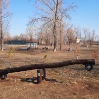 март в парке :: Елена Шаламова