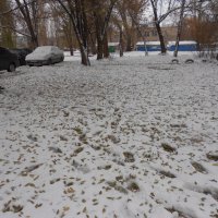 такой разный ноябрь :: Елена Шаламова