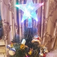 В ожидании праздника! :: Елена Семигина В ожидании праздника! :: Елена Семигина