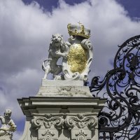 Этого льва уже со львицей не перепутаешь :: Игорь Сикорский