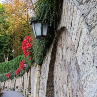 Кисловодск :: navalon M