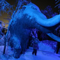 На тропинках "Таинственного леса" :: Ольга 