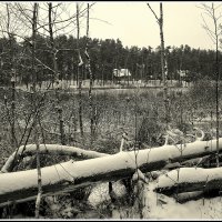 *** :: Aleksandr Gal