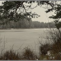 *** :: Aleksandr Gal *** :: Aleksandr Gal