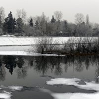 . :: Алексей Неустроев