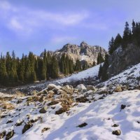 По первому снегу,в октябре :: LudMila 