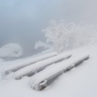 Нежная изморозь :: Марина Фомина.