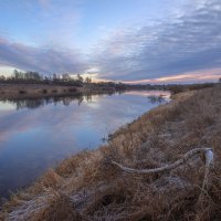 **** :: Елизавета .