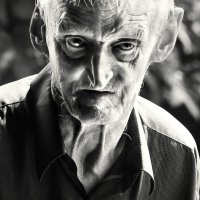 Саша :: СЮ Саша :: СЮ