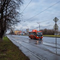 На дороге в ненастье :: Александр Синдерёв На дороге в ненастье :: Александр Синдерёв