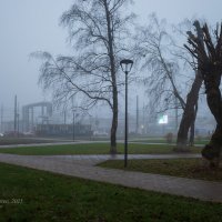 Туман на городских улицах :: Александр Синдерёв