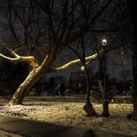 Вечерний Город :: юрий поляков