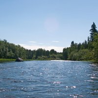 Подчерем утром. :: ВикТор Быстров