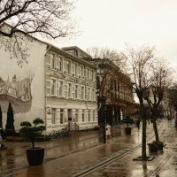 Приезжай в Зеленоградск за свежим воздухом.. :: Лилия . Приезжай в Зеленоградск за свежим воздухом.. :: Лилия .