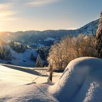 winter morning :: Elena Wymann