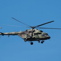 Случайный кадр, пролетал мимо. :: Евгений Седов Случайный кадр, пролетал мимо. :: Евгений Седов