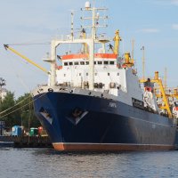 В порту Калининграда. :: Евгений Седов В порту Калининграда. :: Евгений Седов