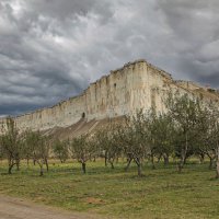 сад под скалой :: РозаВетроф 