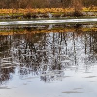 Про вторую половину декабря. :: Анатолий. Chesnavik.