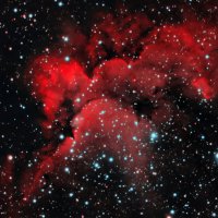 Туманность "Колдун" :: Михаил Сипатов