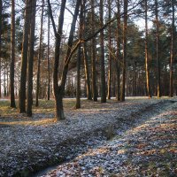 Парк Александрия :: Наталья Герасимова Парк Александрия :: Наталья Герасимова