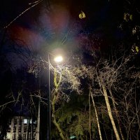 Фонарь, улица,….и прочее :: Любовь 