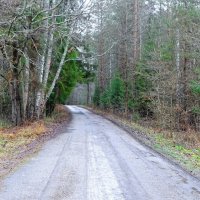 Дорога к Днепру в зимнем лесу. :: Милешкин Владимир Алексеевич Дорога к Днепру в зимнем лесу. :: Милешкин Владимир Алексеевич