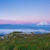 Розовая дымка :: Татьяна Маркова Розовая дымка :: Татьяна Маркова