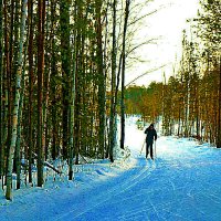 Январь...Одинокий лыжник! :: Владимир 
