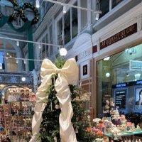 Больше ёлок красивых и разных! :: Ольга Больше ёлок красивых и разных! :: Ольга