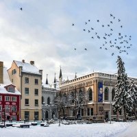 Декабрьская Рига :: Alexandеr P