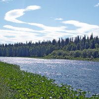 Блестит река. :: ВикТор Быстров