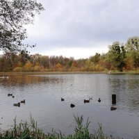 Озеро Лесное, Калининград :: Рита Симонова