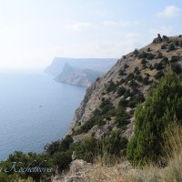 Природа Крыма :: Amazing Cosmea