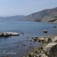 Природа Крыма :: Amazing Cosmea
