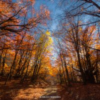 ОСЕНЬ ДЕМЕРДЖИ :: Sergey Bagach